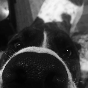 Meet your Posher, Jackie